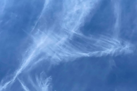 Fibrous veil clouds Feather clouds Cirrus in front of blue sky. international