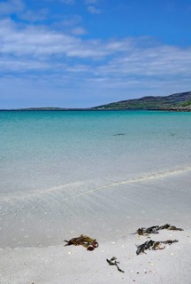 Calm beach with blue sky, clear water and seaweed in the foreground, Outer Hebrides, Eriksay,