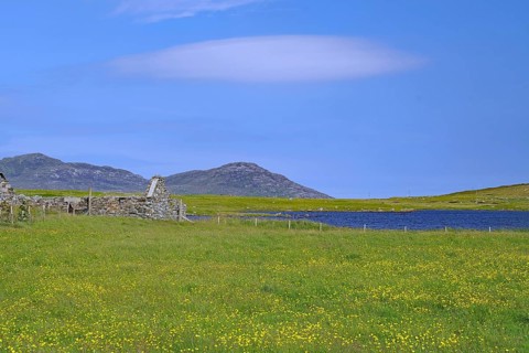 Wide green flower meadow with ruins against a mountainous backdrop under a blue sky, Outer