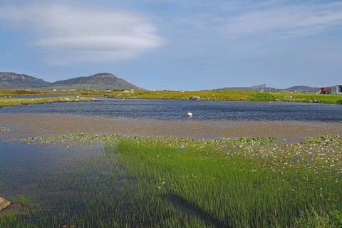 Shallow lagoon with grassy shores and water lilies, framed by hills under a sunny sky, Outer