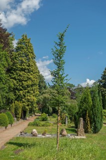 Under-tree burial, resting place, accessible place, Lutheran cemetery, Heisfelder StraÃŸe, Leer,