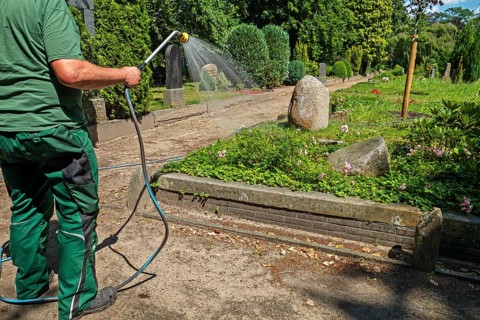 Green areas, flowers, drought, garden hose, gardening employee, in work clothes, gardening and