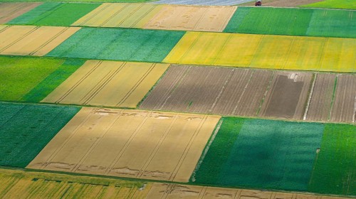 Agricultural area in the Neckarbogen near Lauffen am Neckar. Cereal fields in different shades of