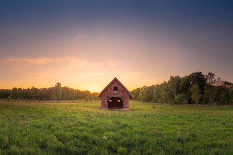 View of an open half-timbered barn standing on a pasture in the sunset, meadow, spring, awakening,