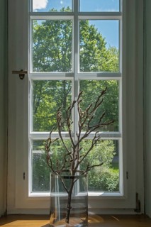A window with a glass jar full of branches and a view of green trees, MÃ¼nsterland, North