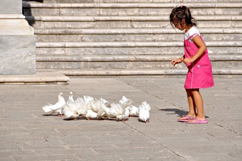 Girl, child playing with white peacock pigeons, pigeon (Columbidae) in the cloister of the