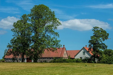 Older farmhouse with tall trees in Ã–sterlen, Simrishamn municipality, SkÃ¥ne county, Sweden,