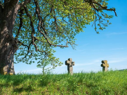 Two medieval stone crosses under an old horse chestnut tree, murder cross, atonement cross,