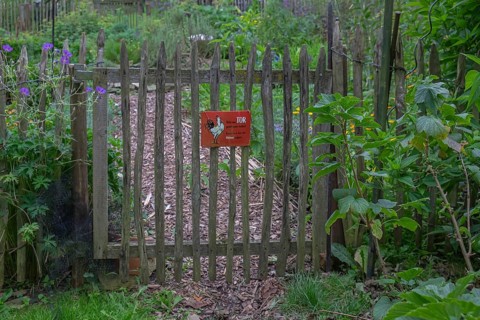 Old wooden gate with warning sign in a green, natural garden, North Rhine-Westphalia, Germany