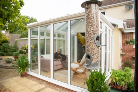 Greenfinch (Chloris chloris) adult bird on a garden bird feeder with a person working on a laptop