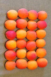 Fresh apricots (Prunus armeniaca) for sale at a fruit and vegetable market, Frauenkirchen,