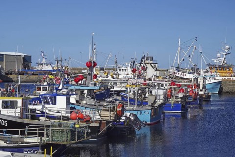 Various fishing boats moored in the harbour, complemented by colourful buoys, Fraserburgh