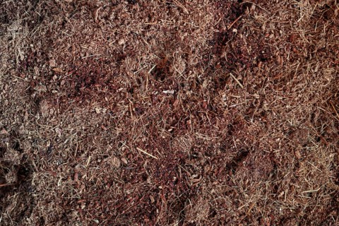 Close-up of coconut coir soil texture for sustainable gardening