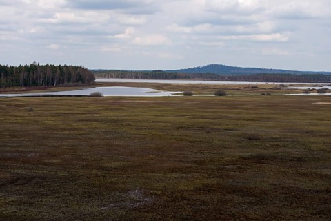 View over the fescue grasslands of Stora Gungflyet... Store Mosse (well-known national park in