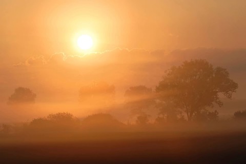 Intensely bright sunrise over an open cultivated landscape dominated by wet meadows, fields, bushes