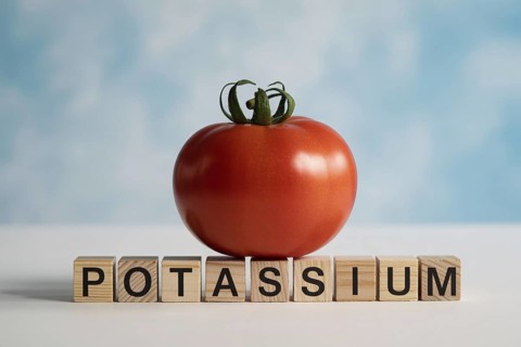 Red tomato with wooden blocks spelling Potassium. Clean studio composition highlighting natural