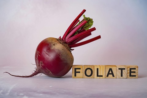 Crimson beetroot with wooden blocks spelling Folate. Studio composition showcasing natural