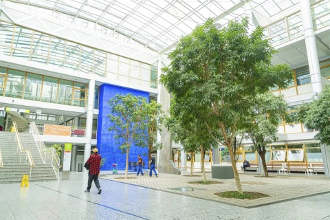Modern shopping centre with large glass roof, in the centre are several trees surrounded by an open