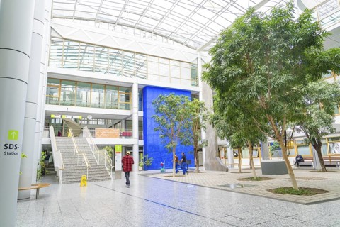 Bright shopping centre with glass ceiling and modern architecture, large trees adorn the open