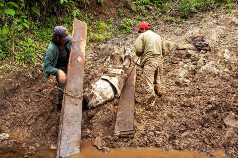 Draft horse and men, Men unload a horse that fell due to a heavy load of planks, Imbabura province,