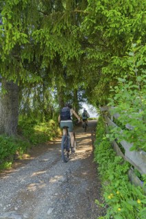 Two cyclists on a forest path, surrounded by dense trees, Alpe di Siusi, Dolomites, South Tyrol,