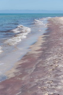 The beach with gentle waves meets the clear blue sea under a wide sky, Prerow,