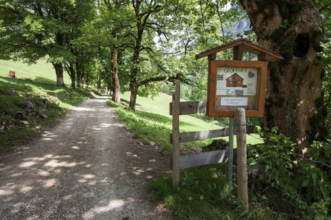 Path with tree-lined avenue and signpost to the Ditersbachalpe, near the historic farming village