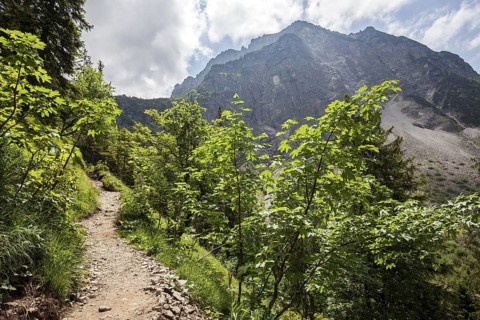 Hiking trail from GaiÃŸalpe to Unterer GaiÃŸalpsee, behind Rubihorn, near Oberstdorf, OberallgÃ¤u,