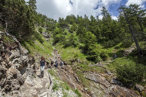 Hiking trail from the GaiÃŸalpe to Unterer GaiÃŸalpsee, at the back of the Illertal, near