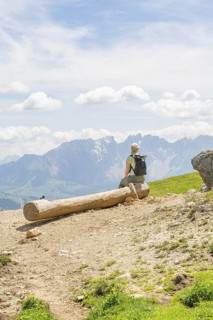 A hiker sits on a tree trunk and looks at the surrounding mountains, Schlehrn hike, Alpe di Siusi,