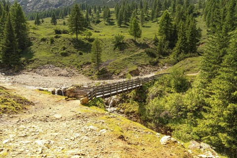 A wooden path leads over a small river into a sun-drenched forest, Schlehrn hike, Alpe di Siusi,