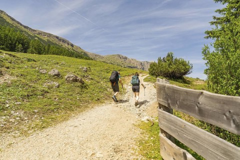 Two hikers walk along a sunny mountain path, flanked by a wooden barrier, Schlehrn hike, Alpe di