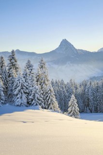 View of Sattelegg with Chöpfenberg in the background, Canton Schwyz, Switzerland