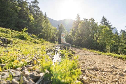 Person sitting on path in forest, surrounded by flora, in soft morning light, hike to Schlehrn,