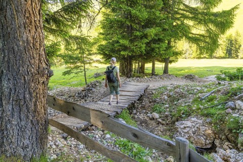 Hiker crosses a wooden bridge on a forest path, hike to the Schlehrn, Alpe di Siusi, Dolomites,