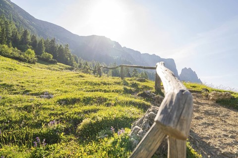 Sun-drenched path with wooden fence and view of the mountains, hike to the Schlehrn, Alpe di Siusi,