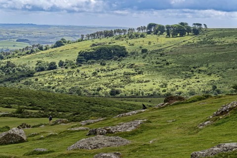 Landscape around the Haytor Rocks in Dartmoor National Park. Bovey Tracey, Devon, South England,