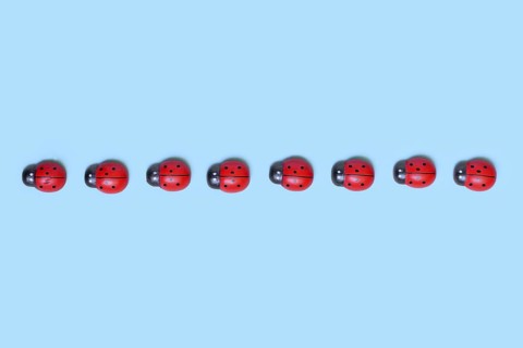Row of small wooden ladybug ornaments on blue background