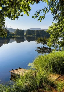 A jetty at Blaibacher See. Blaibach, district of Cham, Upper Palatinate, Bavarian Forest, Bavaria,