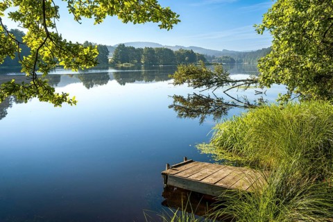 A jetty at Blaibacher See. Blaibach, district of Cham, Upper Palatinate, Bavarian Forest, Bavaria,