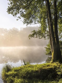 Lake Blaibach on a misty morning. Water vapour rises from the lake. Blaibach, district of Cham,