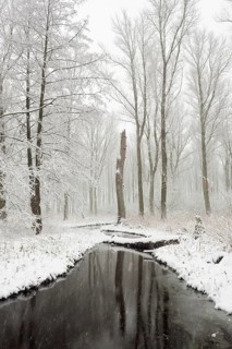 Winter at the MÃ¼hlenbach... Meerbusch (North Rhine-Westphalia), onset of winter with snowfall in