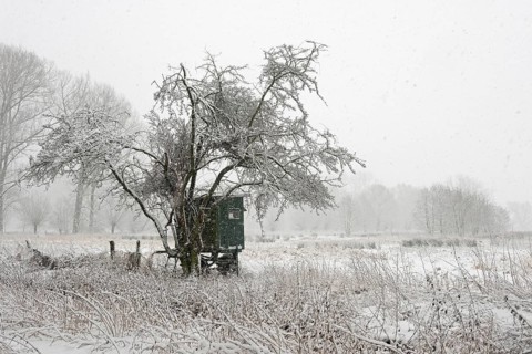 In the StrÃ¼mper Bruch... Meerbusch (North Rhine-Westphalia), mobile hunting hide, high seat in a