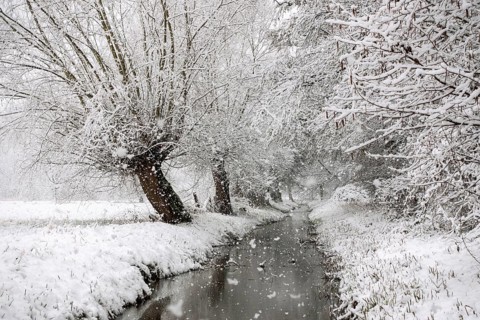 Stream, old drainage ditch in the Rhine floodplains near Meerbusch in winter with snow, Ilvericher
