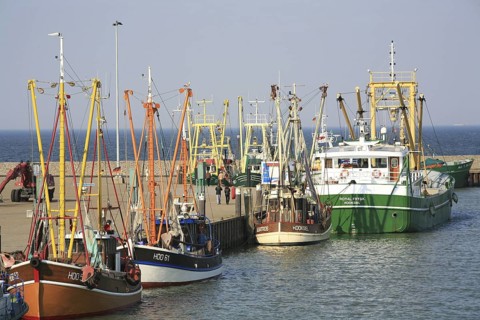 Row of fishing boats, outer harbour, Hooksiel, Wangerland, Germany