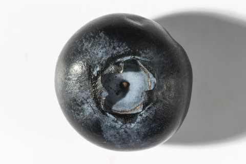 View of the top of a dark blueberry, macro shot