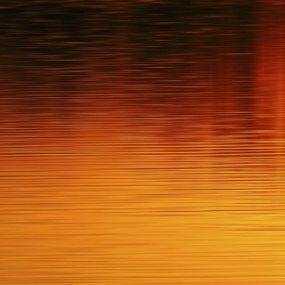 Colours of the sun... Sunset on the water (Lower Rhine, North Rhine-Westphalia), yellow red orange