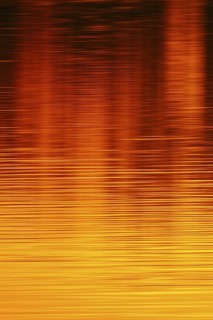 Colours of the sun... Sunset on the water (Lower Rhine, North Rhine-Westphalia), yellow red orange