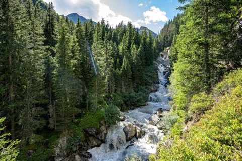 Waterfall at a roaring mountain stream between trees, Seebach stream in the Burkhardklamm gorge,