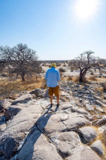 Tourist on a hill with baobabs, African baobab or monkey bread tree (Adansonia digitata), view over